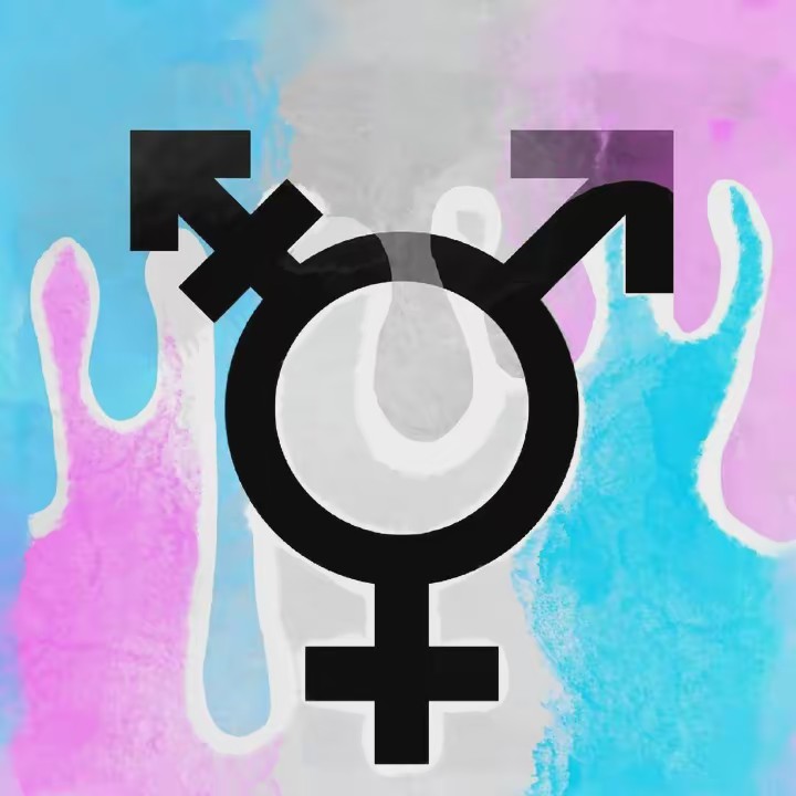 Trans Hype House💙💕