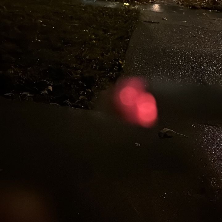 *+:｡.｡-𝙅ǿse-｡.｡:+*