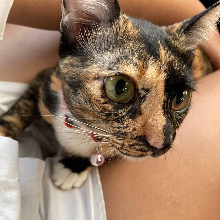 เอกรีวิว-FC