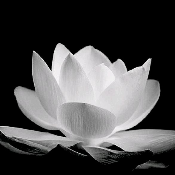 Người nào yêu tui,tui đổi tên