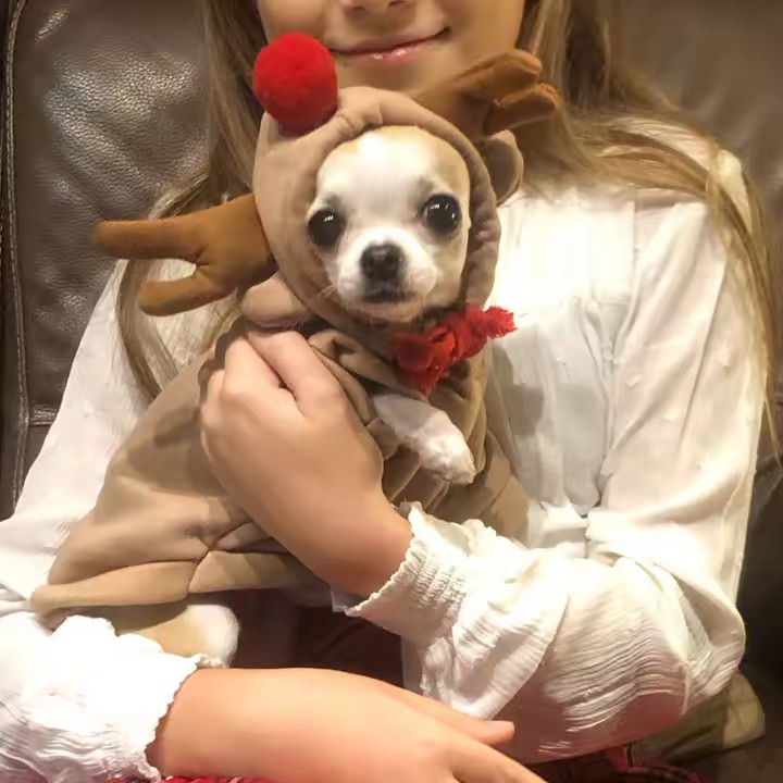 Chany’s❤️world