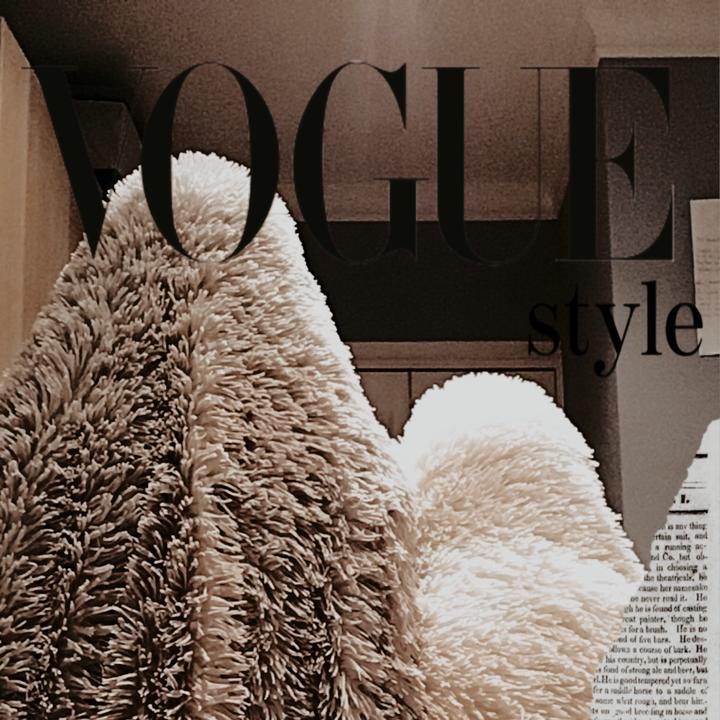 🍄Blanket Besties🍄