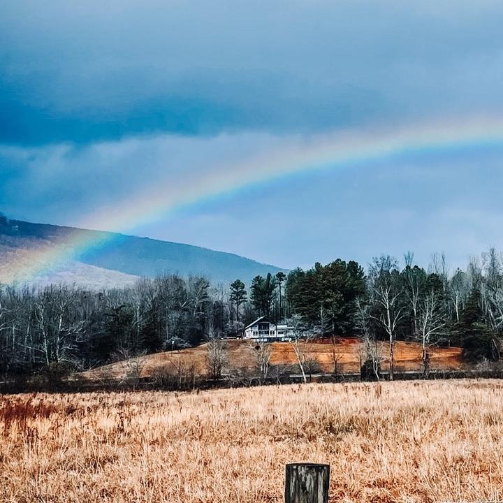 Still Waters At Mill Creek