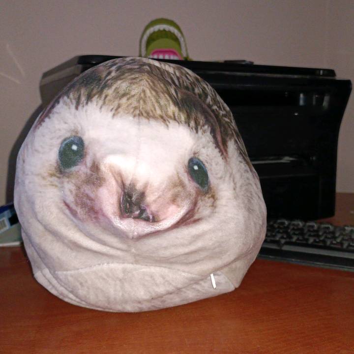 Ефим Комаров