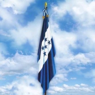 JOSE( El Mapache)🦝