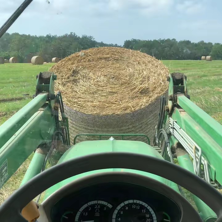 𝓥𝓲𝓽𝓽𝓸_bo