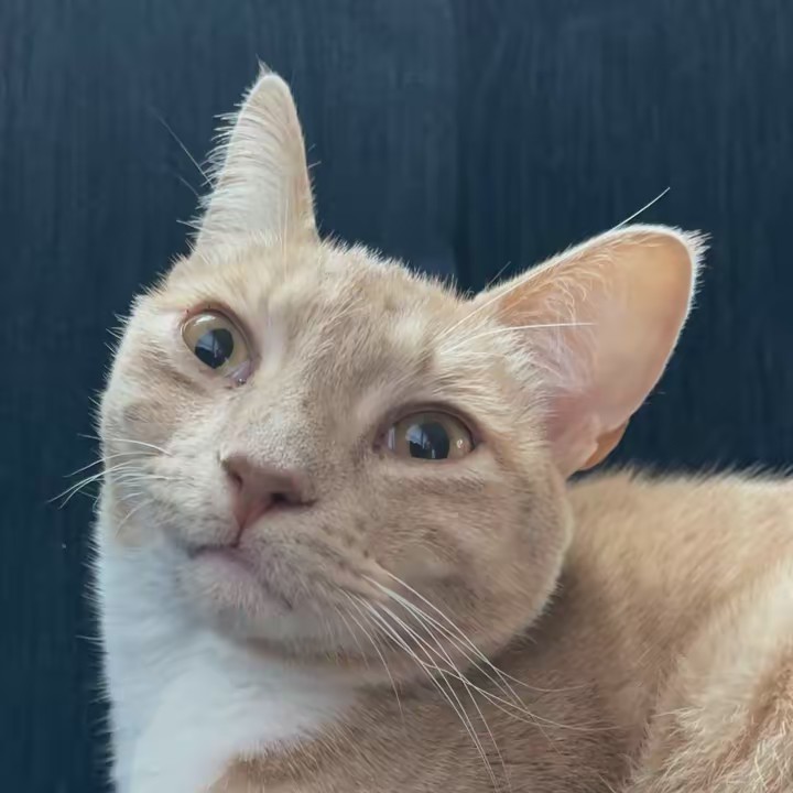 The adventures of fork + spoon