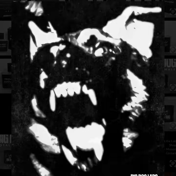 Big Dog Labs