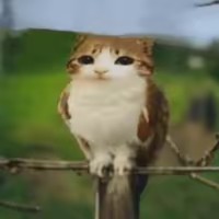 ANTIPERUANO 🧑‍🦯