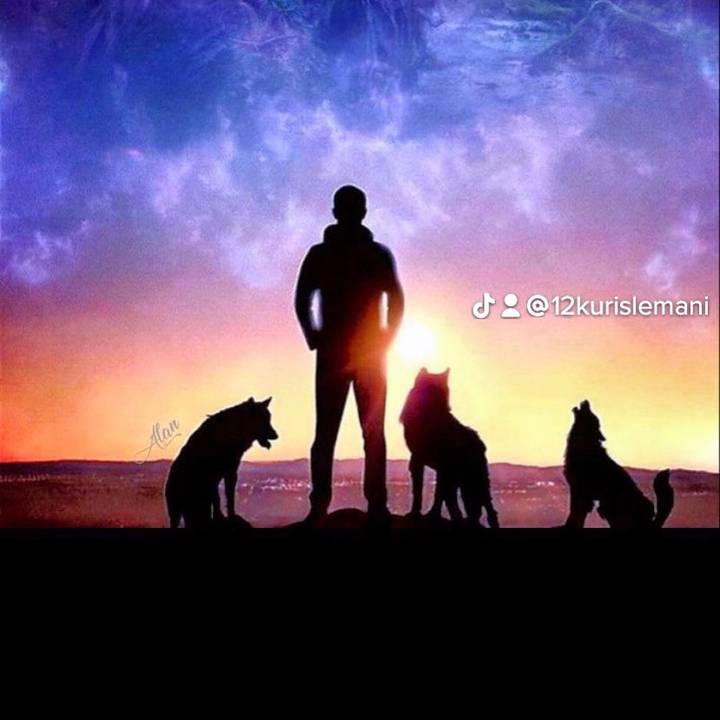 🇪🇸  BOSS E TikTok  🇪🇸