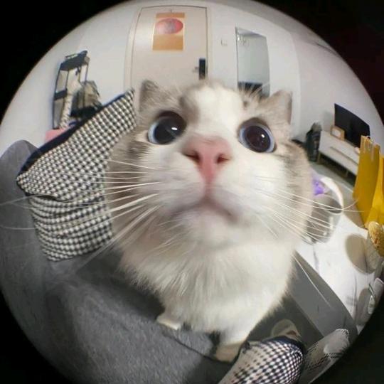 DOA K2MPUŚ 😍🔥