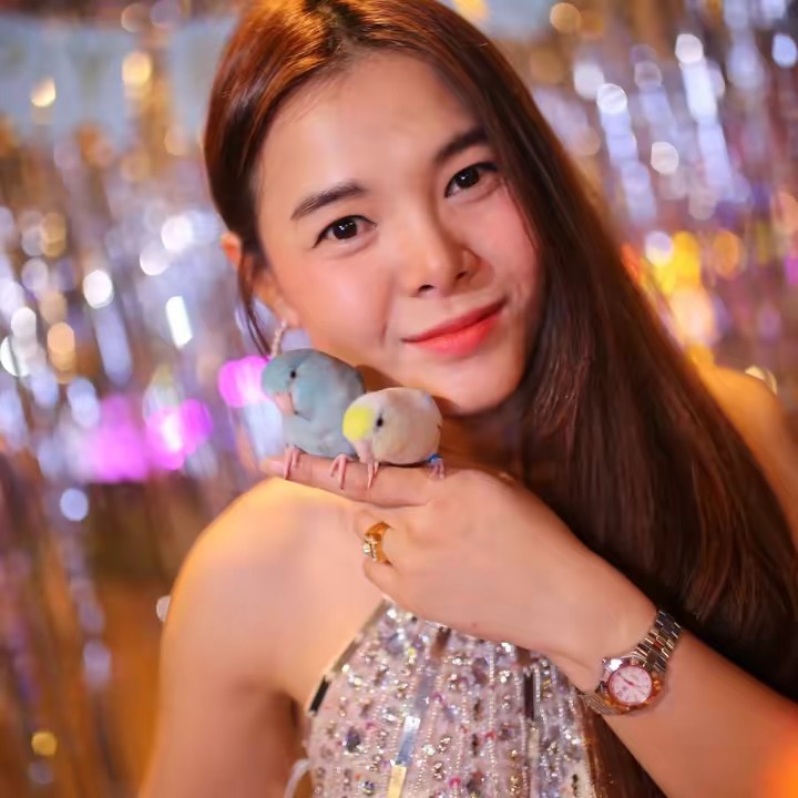 ลอตโต้ที่เป็นนก