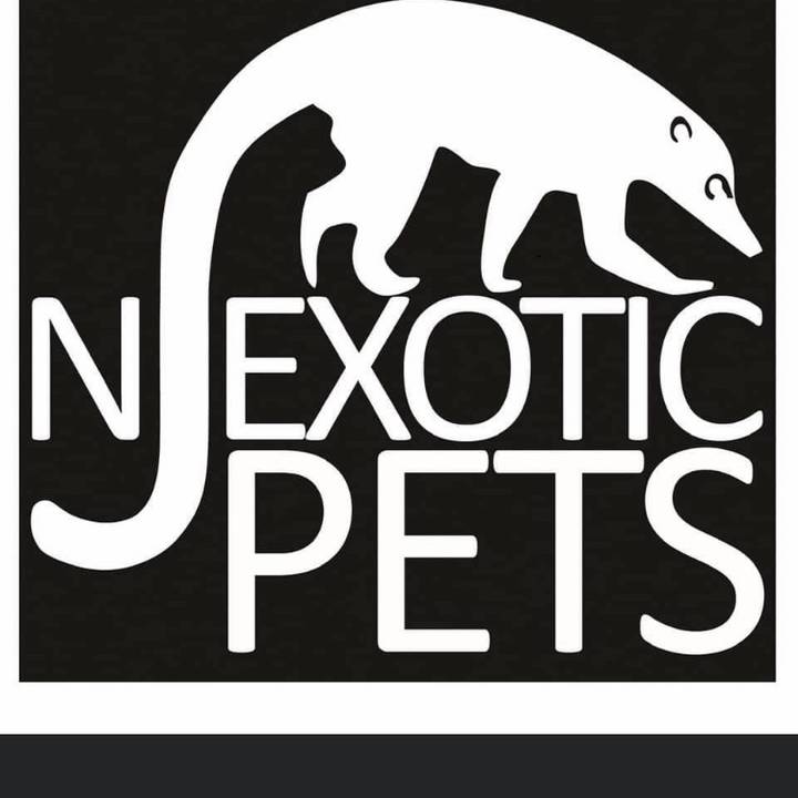 Nj exotic pets