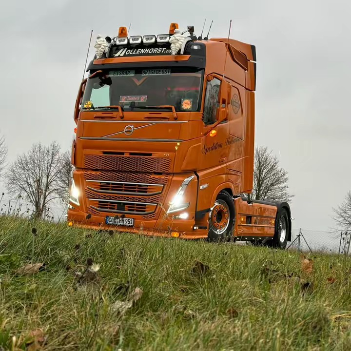 🚨Norbert# Thermotaxi🚨