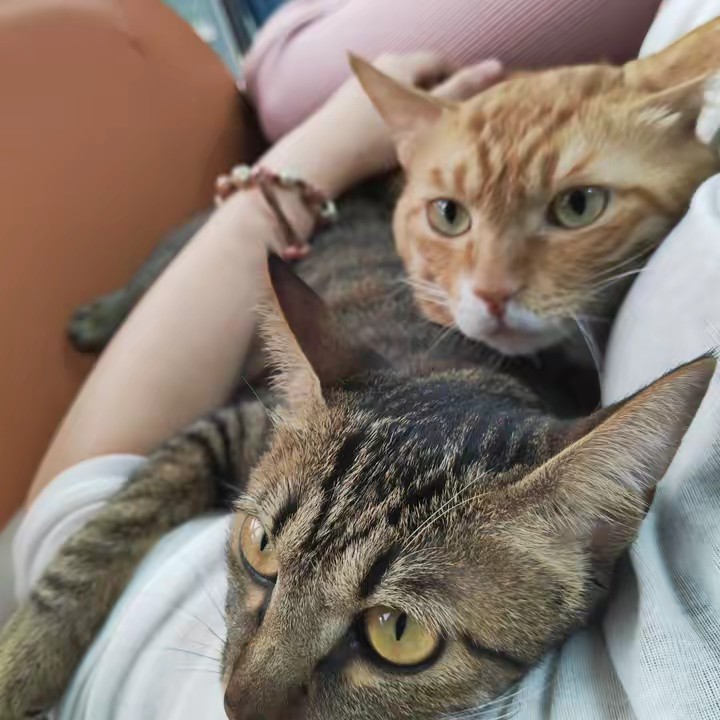 Maomao & Mimi