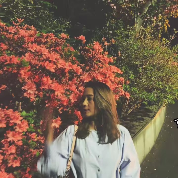 Rikaka🇯🇵🇲🇨