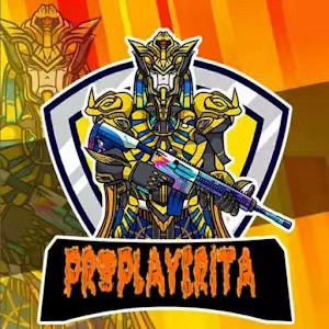 PROPLAYERITA PUBG