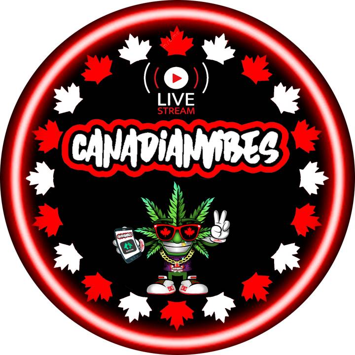 THE CANADIAN VIBES