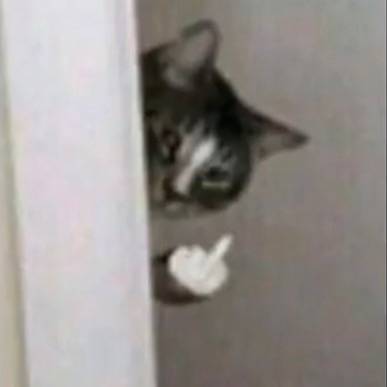 𝚇𝚞𝚕𝚗𝚝𝚢