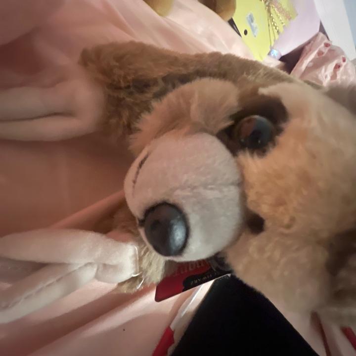 🎀Penelope🎀 (Taylor’s version