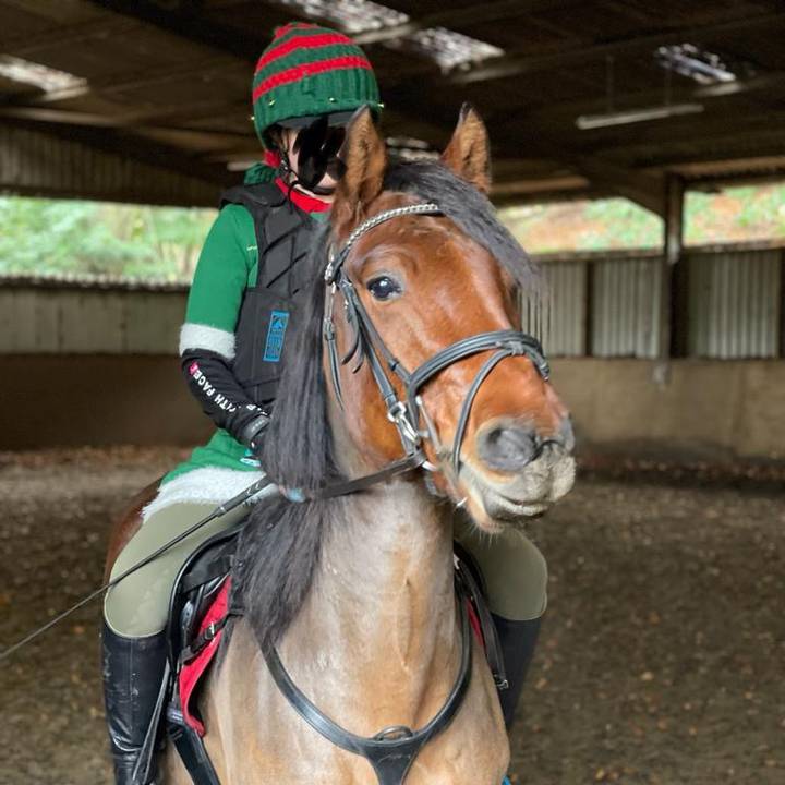 🤍🎄~Martie~🎄🤍