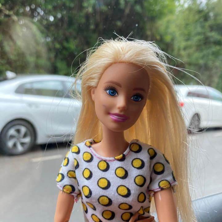 SkipperandRyan_barbiesbackup💖