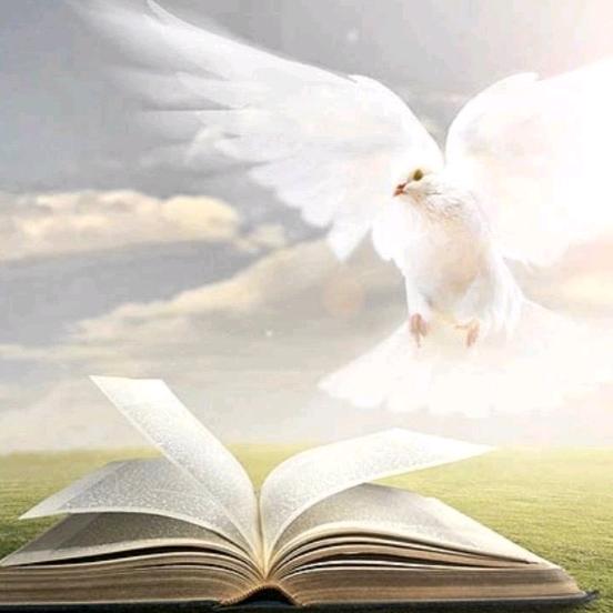 siervo del rey de reyes.