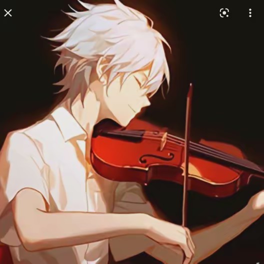 Matheusinho do violino 🎻