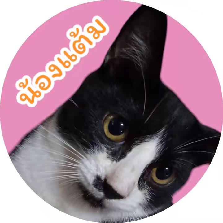 น้องเเต้ม จอมดื้อ