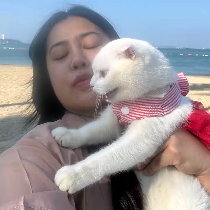 กระจก แมวอินโทรเวิร์ต