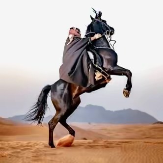 خٌــيــّّآْلــ