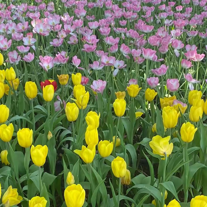 ชื่อไรดีนะ