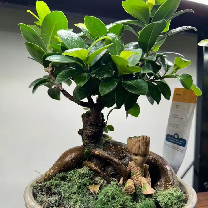 EZGarden&Seed