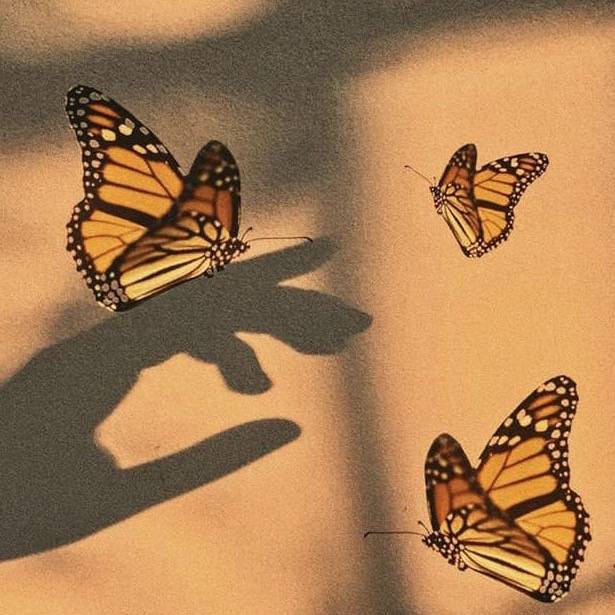 ❤️‍🩹katy🦋🤭