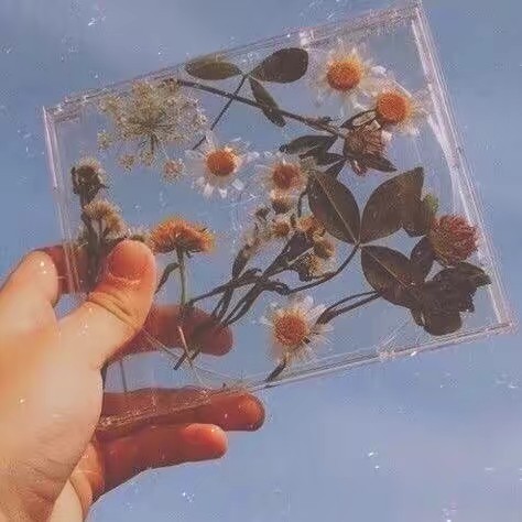 ( ☕︎︎ ) 𝚁𝚘𝚞𝚝𝚒𝚗𝚎 ( ☕︎︎ )