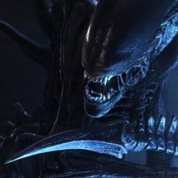 •·.· 𝕷𝖊𝖊 ·.·•