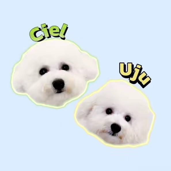 もふしろブラザーズ