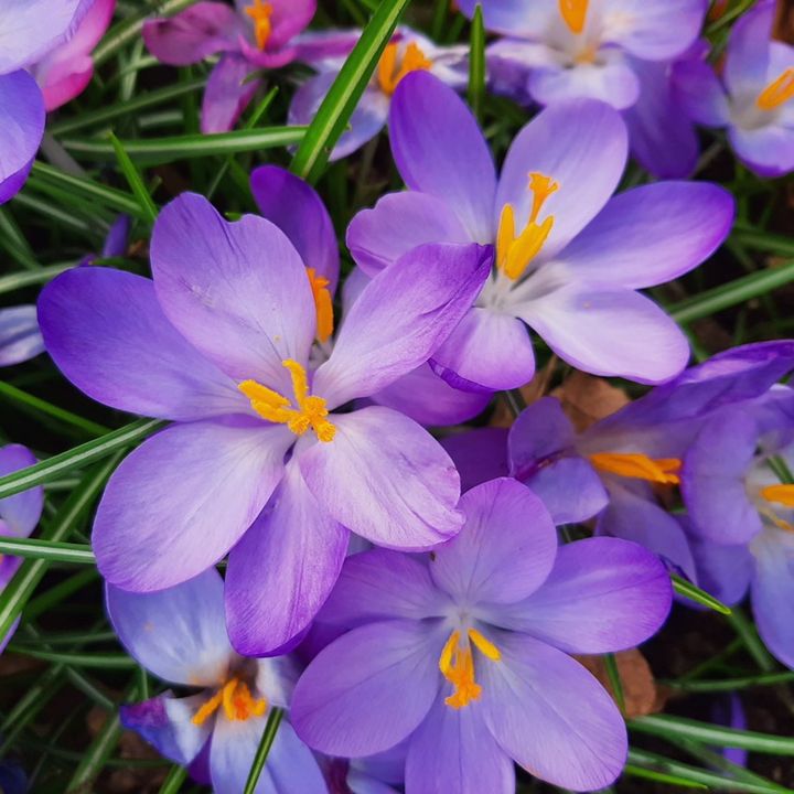 Current Affairs Perspective