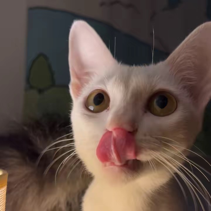 กินกินแซ่บ🍋🍭🍧