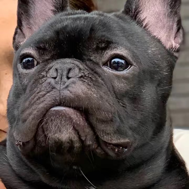 マサ君とゲンさんとオレ物語‥