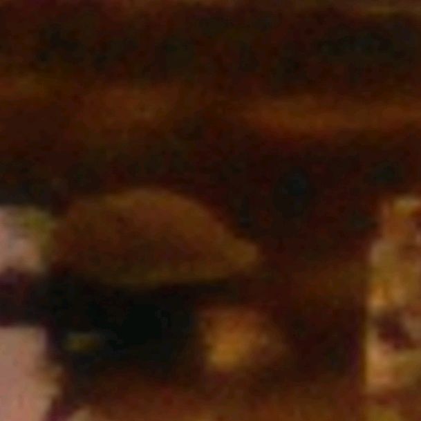 wesyduuruvddffffffrudsygttudud