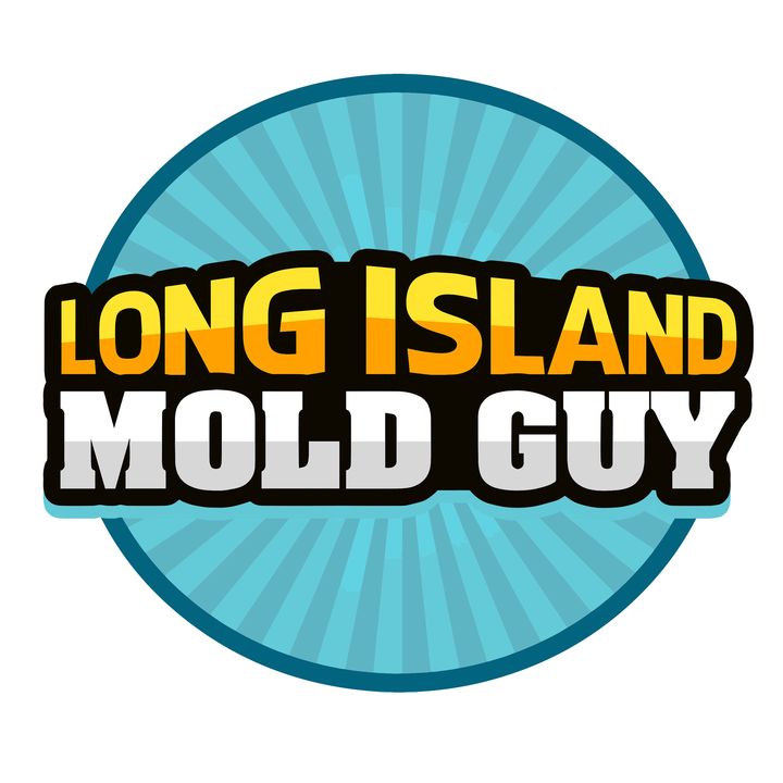 Long Island Mold Guy