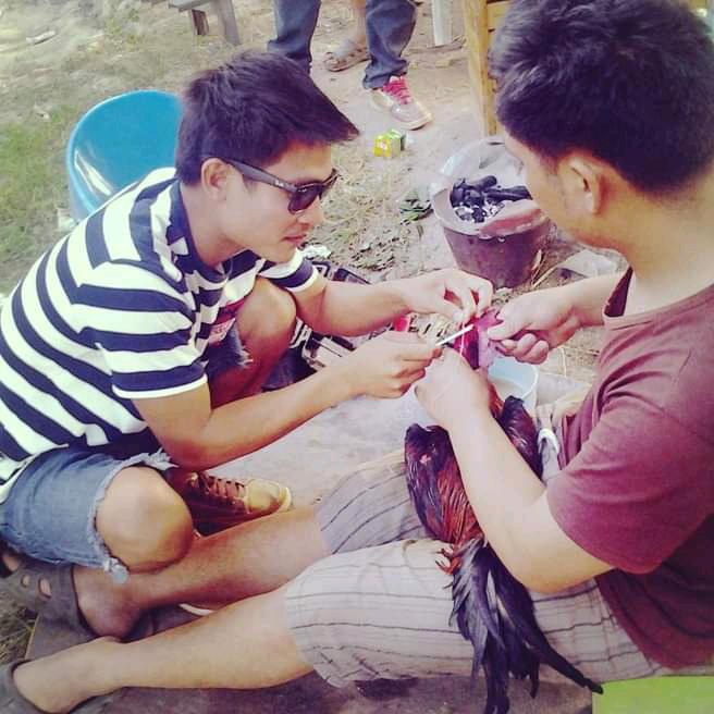 มือน้ำ เพชรพลังหนุ่ม