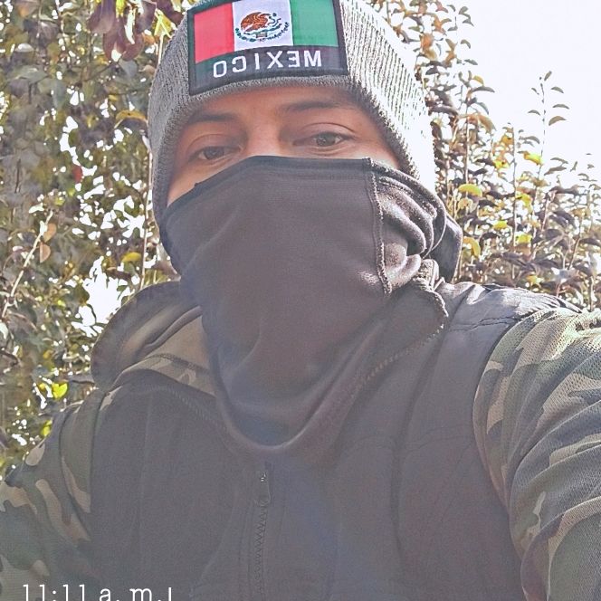 esel juniorotros ledicengordo