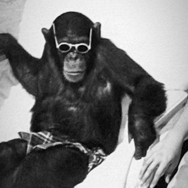 Hdot🧀👨🏽‍🦲