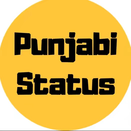 punjabi status