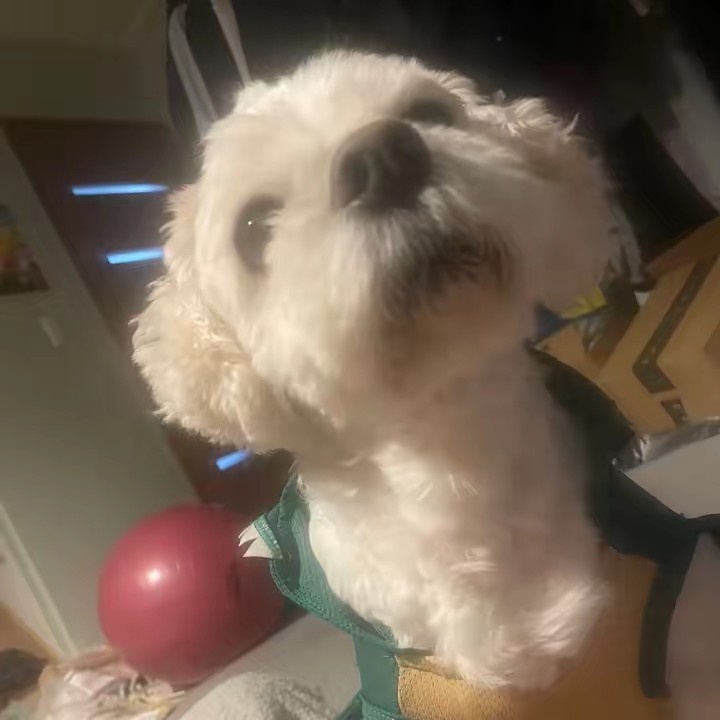 柿太郎🦪カキ㌠