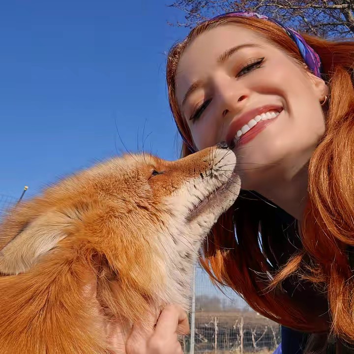 saveafox
