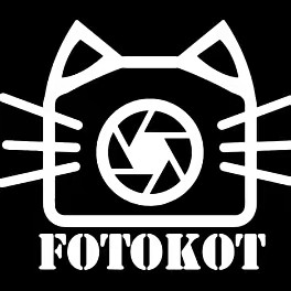 fotokot