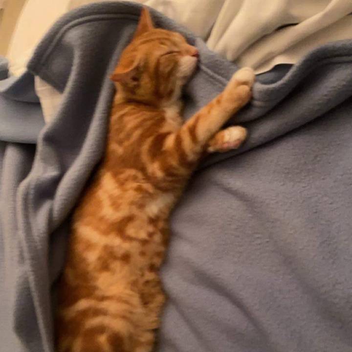 łãbłøñđēñēw15